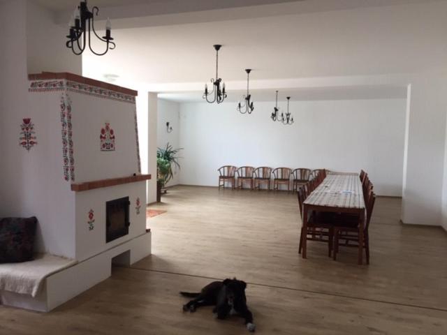 Bed and Breakfast Cicaskacus Vendeghaz Mátrafüred Zewnętrze zdjęcie