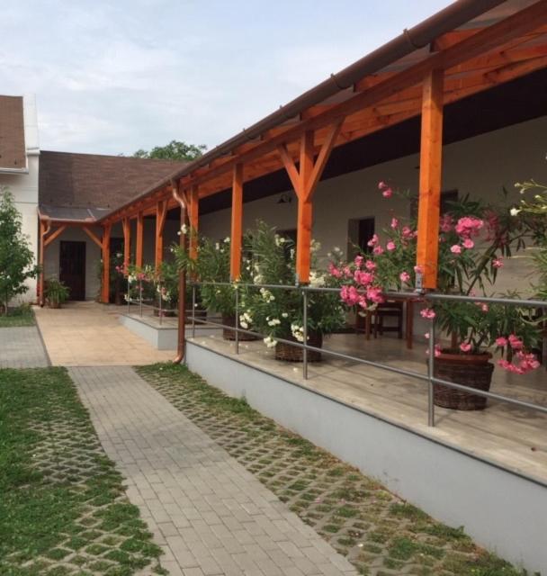 Bed and Breakfast Cicaskacus Vendeghaz Mátrafüred Zewnętrze zdjęcie