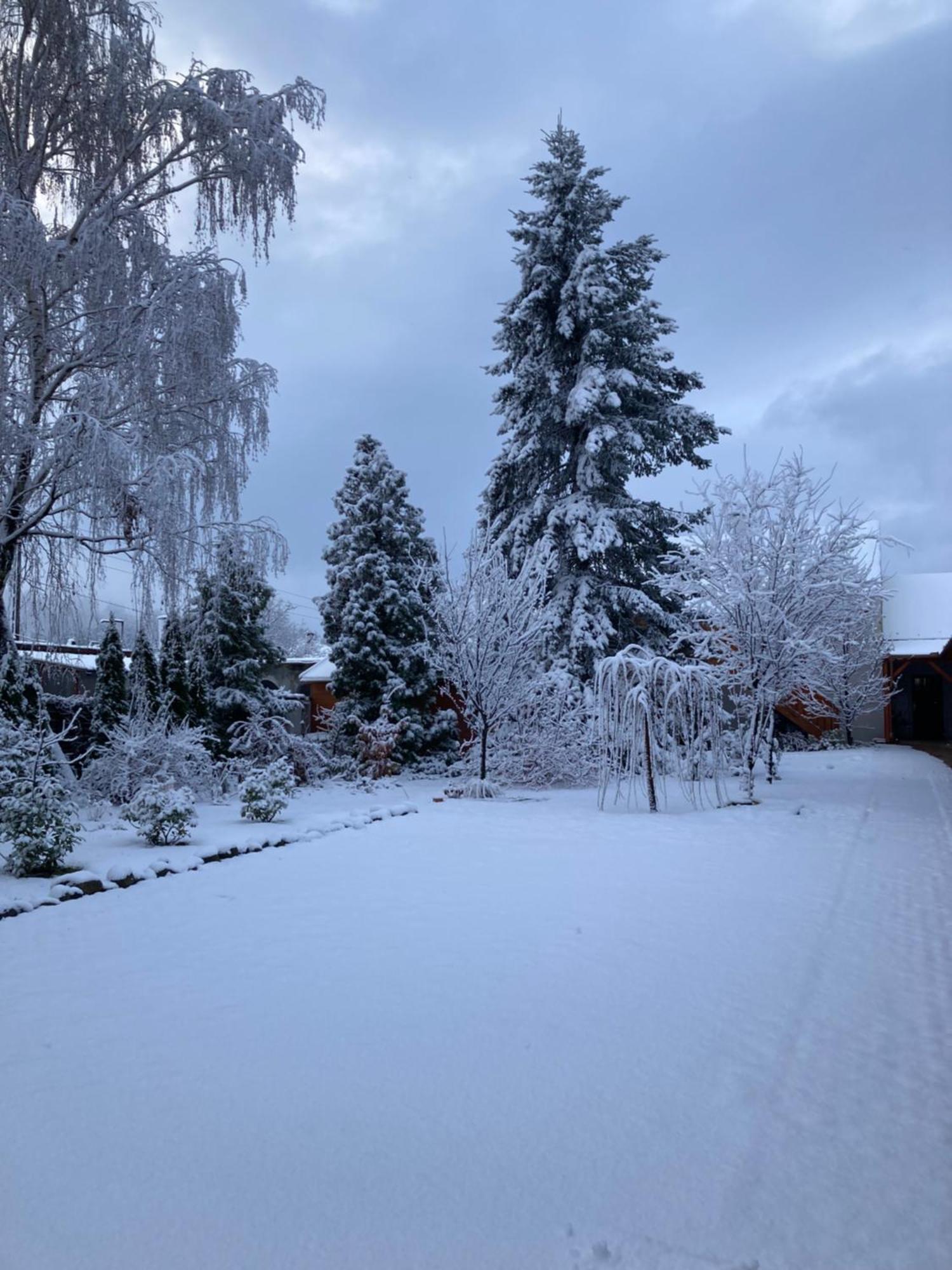 Bed and Breakfast Cicaskacus Vendeghaz Mátrafüred Zewnętrze zdjęcie
